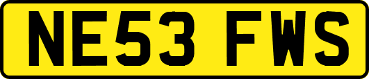 NE53FWS