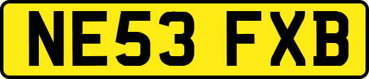 NE53FXB