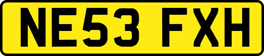 NE53FXH