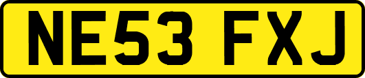 NE53FXJ