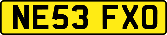 NE53FXO