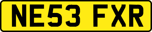 NE53FXR