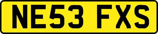 NE53FXS