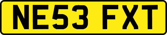 NE53FXT