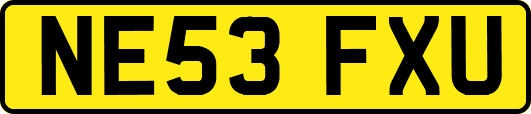 NE53FXU