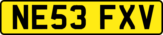NE53FXV