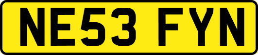 NE53FYN