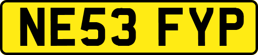 NE53FYP