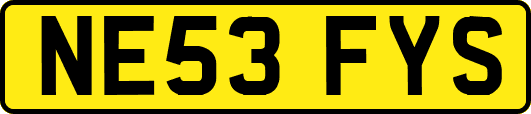 NE53FYS