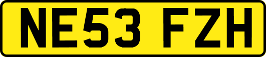 NE53FZH