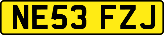 NE53FZJ