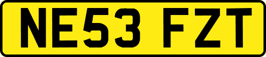 NE53FZT