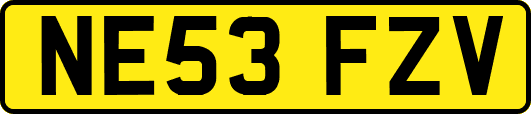 NE53FZV