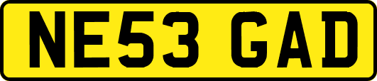 NE53GAD