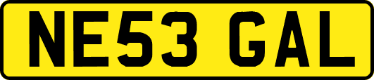 NE53GAL
