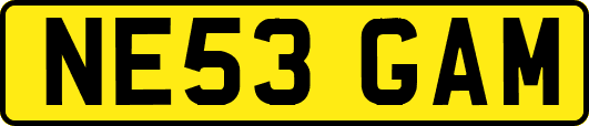 NE53GAM