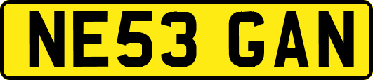 NE53GAN