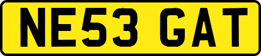 NE53GAT