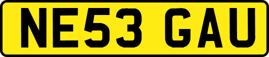 NE53GAU
