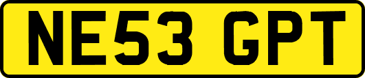NE53GPT