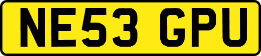 NE53GPU