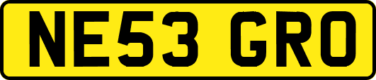 NE53GRO