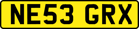 NE53GRX