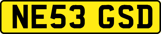 NE53GSD