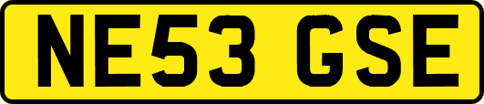 NE53GSE