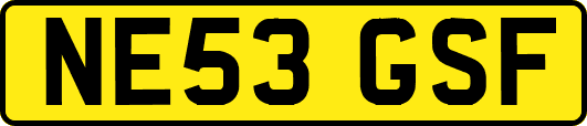 NE53GSF