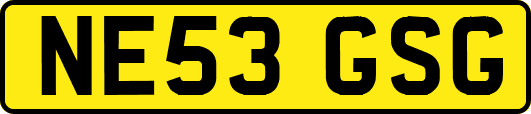 NE53GSG