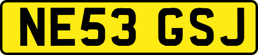 NE53GSJ