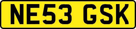 NE53GSK