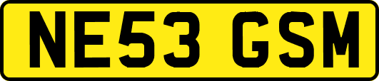 NE53GSM