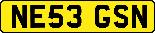 NE53GSN