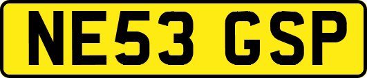 NE53GSP