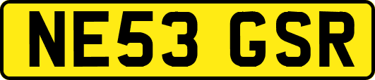 NE53GSR