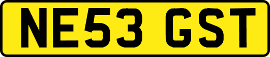 NE53GST