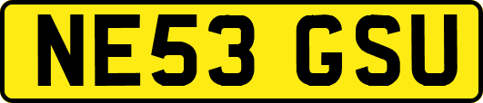 NE53GSU