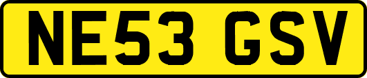 NE53GSV