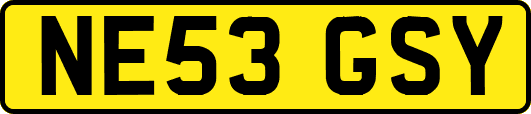 NE53GSY