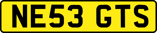 NE53GTS