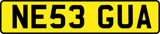 NE53GUA