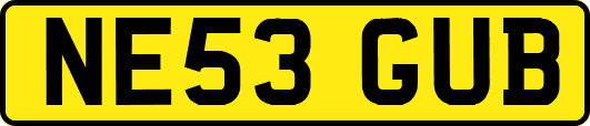 NE53GUB
