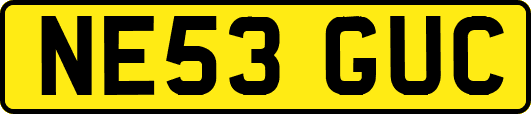 NE53GUC
