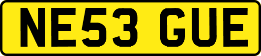 NE53GUE