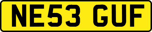NE53GUF