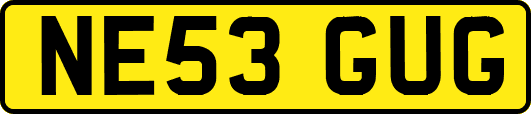 NE53GUG