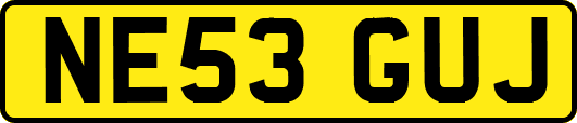 NE53GUJ