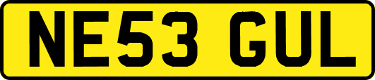 NE53GUL